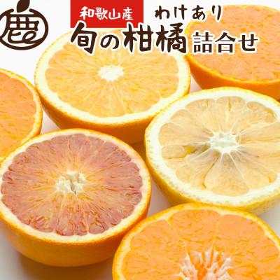 ふるさと納税 広川町 家庭用 柑橘詰合せ5kg 150g(傷み補償分)