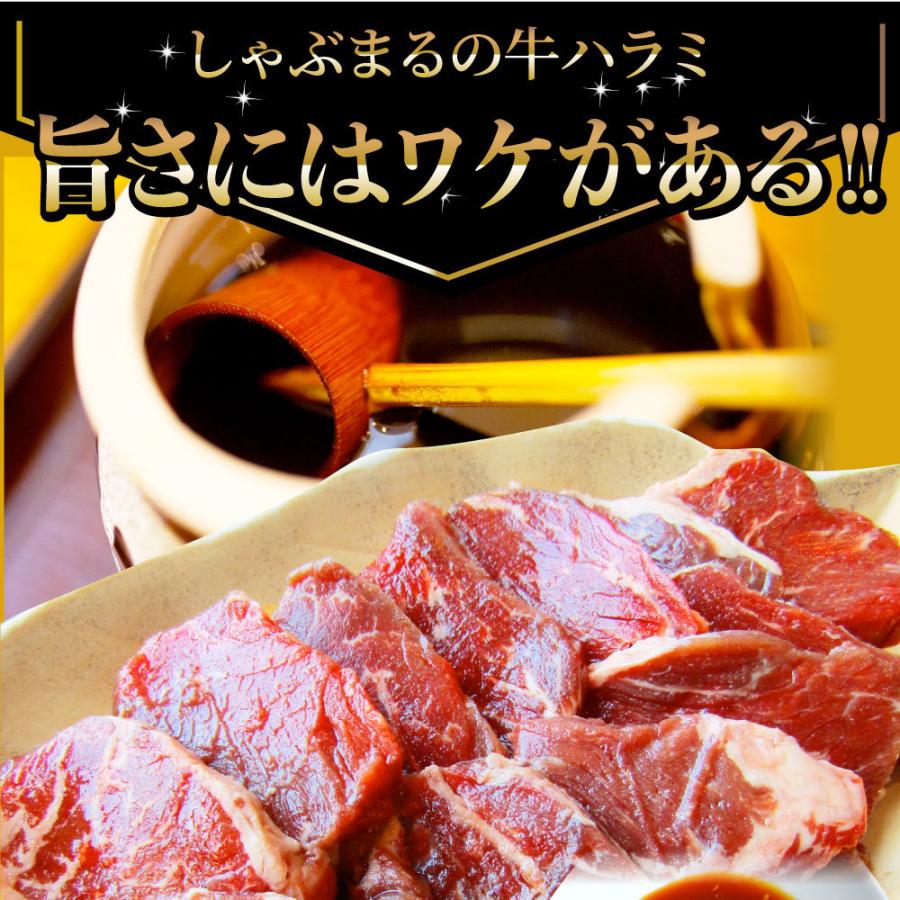 牛ハラミ焼肉（タレ漬け）10kg（250g×40） タレ 赤身 はらみ 秘伝 焼肉 やきにく ハラミ アウトドア お家焼肉 BBQ キャンプ キャンプ飯