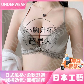 🚀虧本到貨🚀日本🇯🇵 前扣提拉內衣女小胸聚攏性感無鋼圈顯大夏季美背收副乳調整型文胸