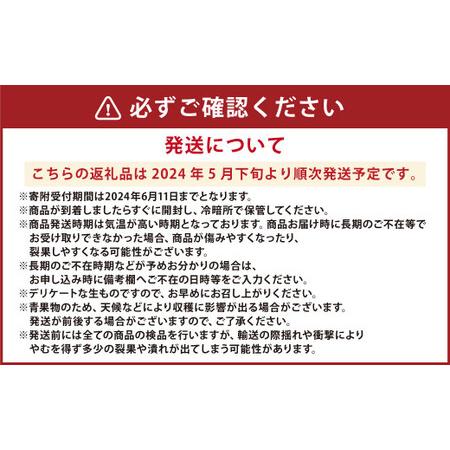 ふるさと納税  熊本県産 小玉すいか 1玉（1.5kg以上）と 肥後グリーンメロン 1玉（1.8kg以上）  果物 くだもの フルーツ ス.. 熊本県