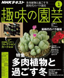 NHK 趣味の園芸 (2020年1月号)