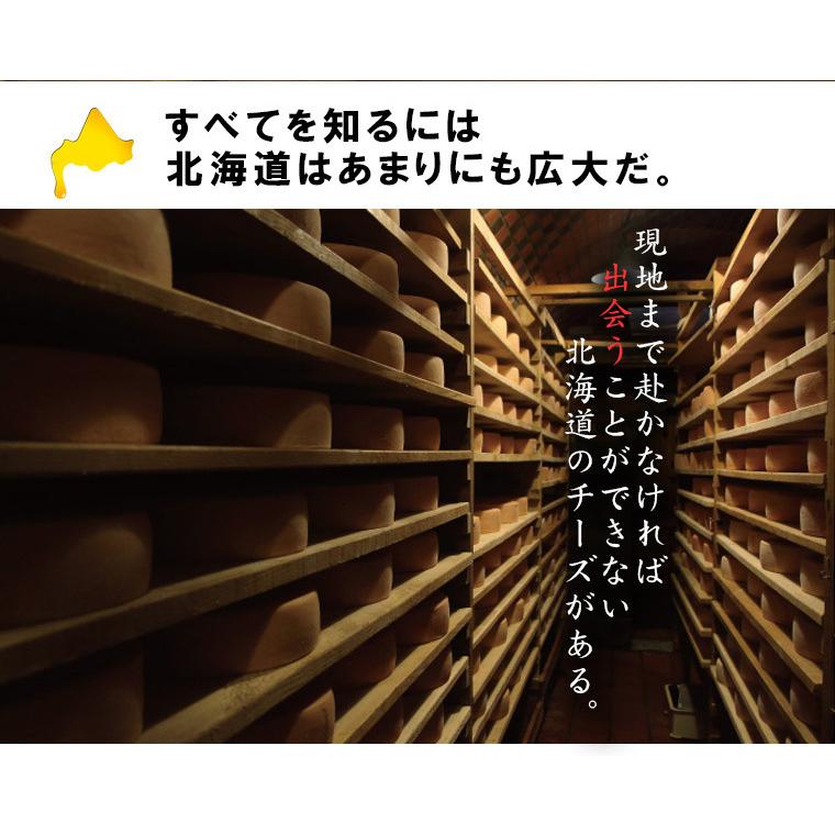 北海道 チーズ 詰め合わせ セット 5選 送料無料  選りすぐりのチーズを楽しめる 北海道チーズ専門店の味 -出会い-ギフト おつまみ ワイン 酒