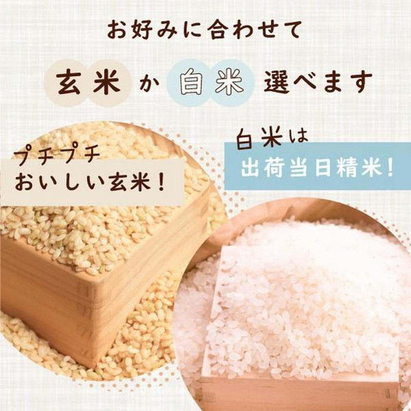 令和6年 滋賀県余呉町産 上丹生のコシヒカリ 30kg 食味最高