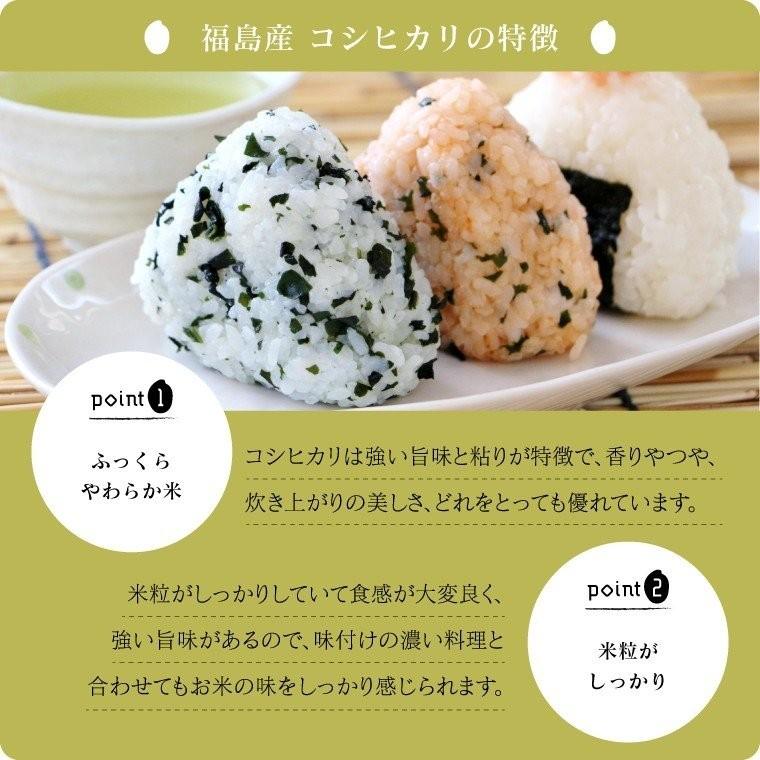 新米 令和５年 お米 5kg  Iwaki Laiki コシヒカリ 無洗米 福島県産 送料無料 精米  米