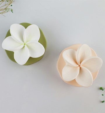 【Posy Aroma】擴香石