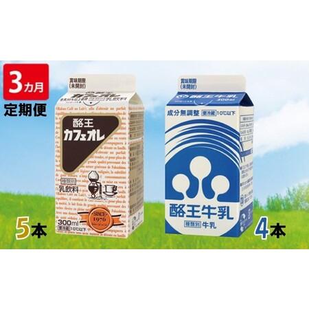 ふるさと納税 酪王カフェオレ300ml×5本・牛乳300ml×4本セット 福島県郡山市