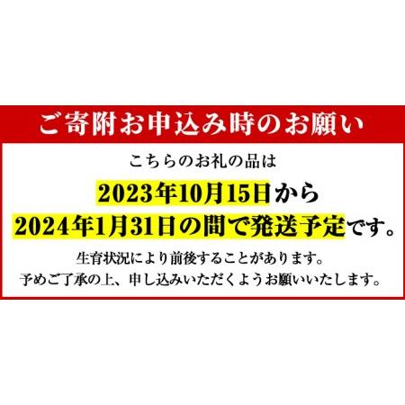 ふるさと納税 akune-4-43 ＜訳あり＞鹿児島県産手選果みかん(計10kg)国産 柑橘 果物 フルーツ ご家庭用 サイズ 不揃い4-43 鹿児島県阿久根市