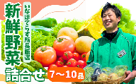 季節の野菜詰合せセット 7~10品