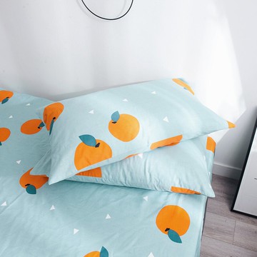 枕頭套枕芯套一對裝純棉情侶成人單人枕頭皮枕套全棉整頭套48*74