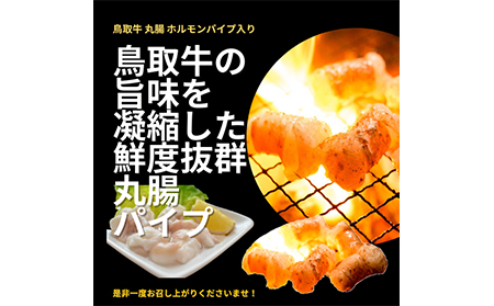 と23-10 鳥取県産　焼肉セット 2.4ｋｇ (６～１０人前） ホルモン 丸腸 牛肉 豚肉 鶏肉 バーベキュー 鳥取産 BBQ ファミリーセット