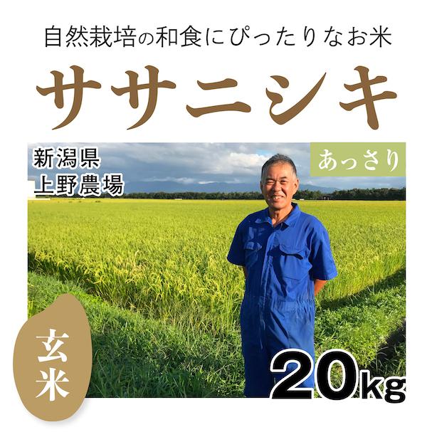 玄米20kg「自然栽培ササニシキ」(新潟県)上野農場　令和5年産