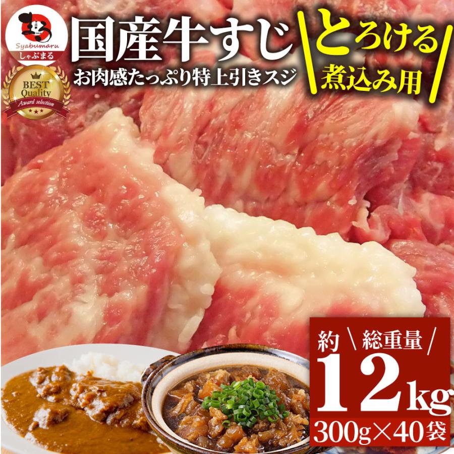 牛肉 肉 お肉屋さんの 国産 牛スジ 牛 生 すじ 煮込み用 スジ たっぷり 12kg 訳あり お取り寄せ