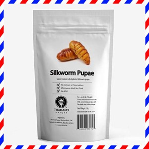 [昆虫食] シルクワーム Silkworm Pupae 15g TIU0006