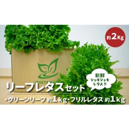 ふるさと納税 リーフレタスセット　約２Kg 茨城県那珂市