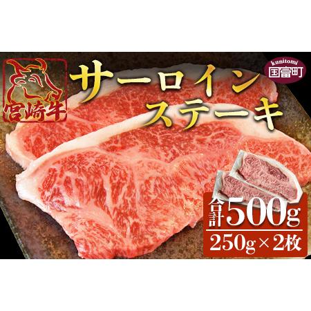 ふるさと納税 ＜宮崎牛 サーロインステーキ 250g×2枚＞翌月末迄に順次出荷 宮崎県国富町