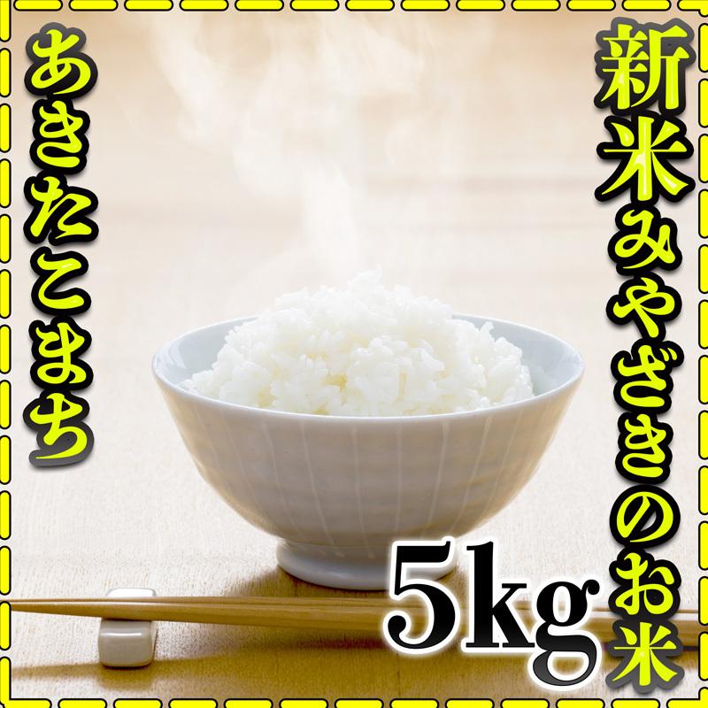 お米 米 5kg 白米 宮崎県産 あきたこまち 新米 令和5年産 5kg1個 みやざきのお米 富田商店 とみた商店