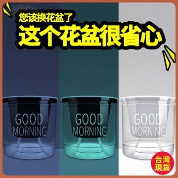 【全台免運】多肉花盆 懶人花盆 自吸水花盆 北歐風 創意個性 網紅 水培器皿 水培盆 塑料花盆 套裝 老樁 水培 大花盆