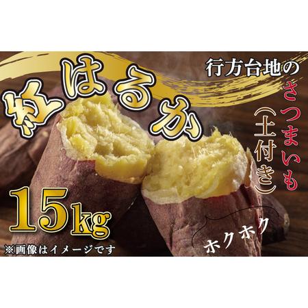 ふるさと納税 CU-167 無選別 行方台地のさつまいも 紅はるか15kg 茨城県行方市