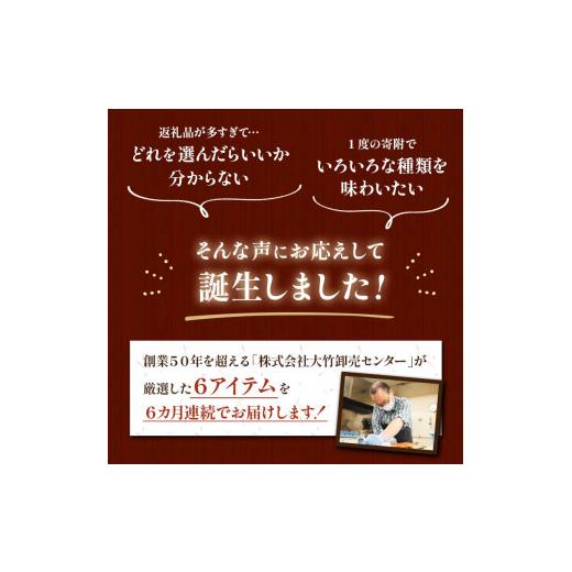 ふるさと納税 北海道 釧路市 6か月連続！北海道 釧路発 厳選海鮮定期便！ Aコース 糠さんま ほたて 鮭 ししゃも 毛ガニ サーモン 6種 海鮮 定期便 F4F-2214