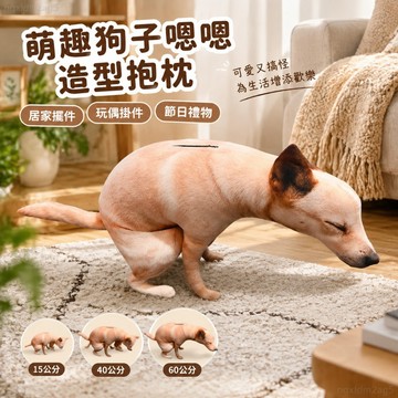 搞怪熱銷 嗯嗯狗抱枕 拉屎狗公仔 仿真狗狗玩偶 毛絨抱枕 沙發靠枕 抽象玩偶 趣味家居擺飾 生日禮物 交換禮物 療癒小物