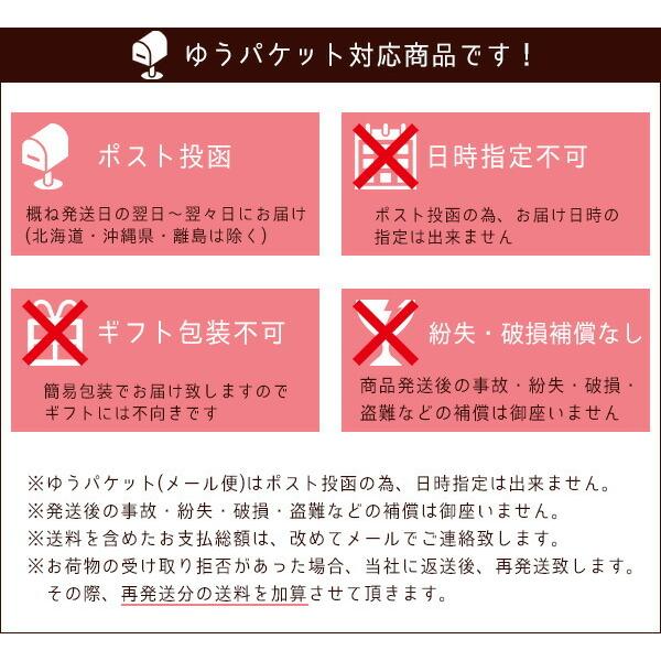  ゆうパケット対応 スノージョー ユニバーサル 電動 スノーショベル カバー 純正 耐水 キズ 汚れ 保管 収納 除雪機