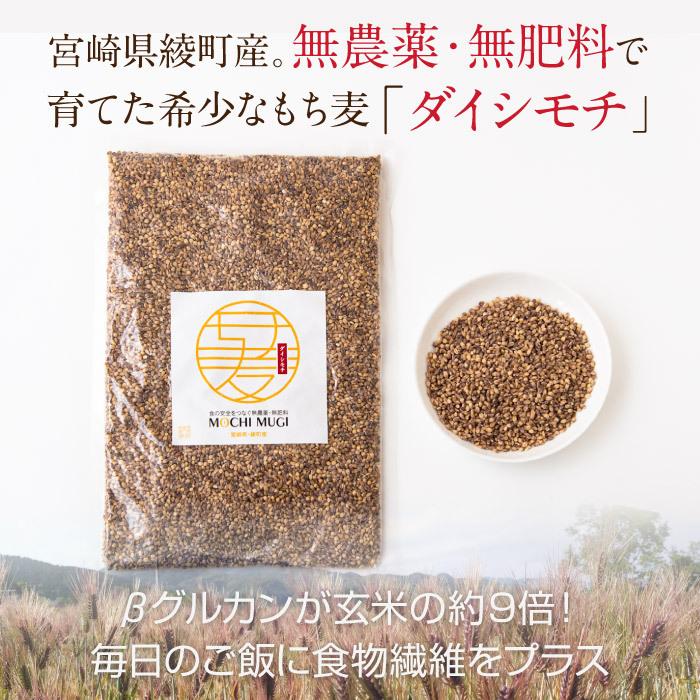 もち麦 もちむぎ 900g 無農薬 無肥料 自然栽培 ダイシモチ 宮崎県産 食物繊維