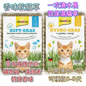 米格魯 竣寶田園草甸味大麥貓草150g/香味軟貓草100g/一次澆水長效保濕貓草150g
