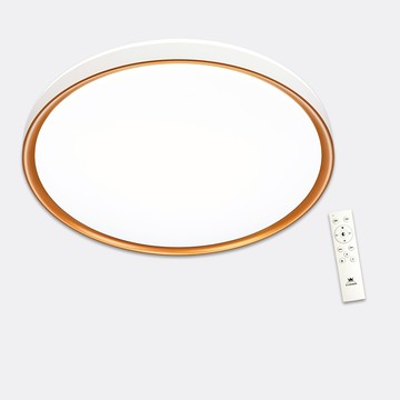 65W遙控吸頂燈｜L11-A2312N-65W