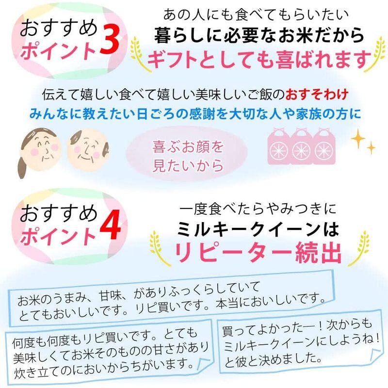 精米福井県産ミルキークイーン 白米 令和4年産 (10kg)