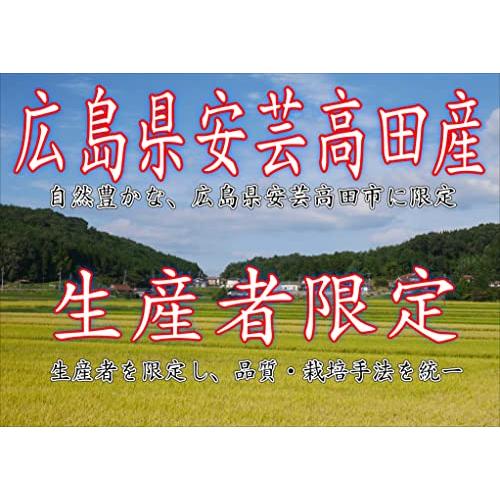 パールライス 広島県安芸高田市産 もち麦 キラリモチ 1kg