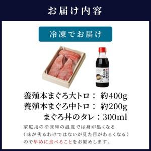 ふるさと納税 鷹島産本まぐろ まぐろ丼のたれ付き(桐箱入り) （マグロ 本マグロ 鷹島産本マグロ まぐろ 本まぐろ 鷹島産本まぐろ 鮪 本鮪 鷹島産.. 長崎県松浦市