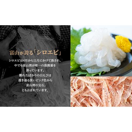 ふるさと納税 シロエビ刺身100g・シロエビ昆布締め80gセット 富山県射水市