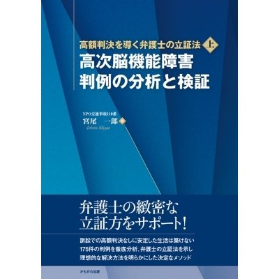 高額判決を導く弁護士の立証法 上