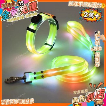 免運費🚀狗狗發光項圈夜間夜晚遛狗燈夜光發亮中大型犬耐咬寵物項鍊脖頸圈LGD
