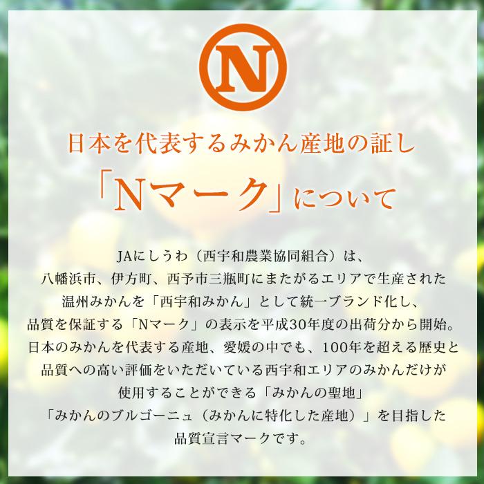 みかん 愛媛県産 みなの共選のみかん 特秀品 約5kg S〜Lサイズ 40〜60個