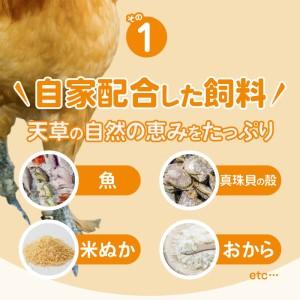 ふるさと納税 S061-004_平飼い 有精卵 30個 卵 たまご 熊本県天草市