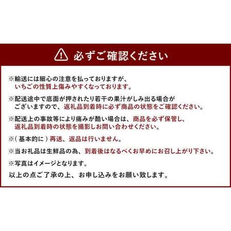 ふるさと納税  あまおう DX 約280g × 4パック 合計約1.1kg いちご 苺 イチゴ フルーツ 果物 福岡県太宰府市