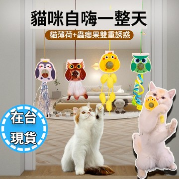 🔥在台現貨.附發票.快速出貨🔥盪鞦韆逗貓棒 懸掛式逗貓棒 自嗨解悶 掛門逗貓繩帶薄荷蟲癭果 蟲癭果逗貓棒 薄荷逗貓繩