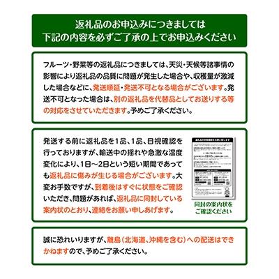 ふるさと納税 高松市 高松産 季節の果物 約250g×4パック入り×2箱