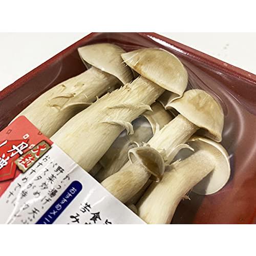 京都府産　大粒丹波しめじ（はたけしめじ）　約100g／パック