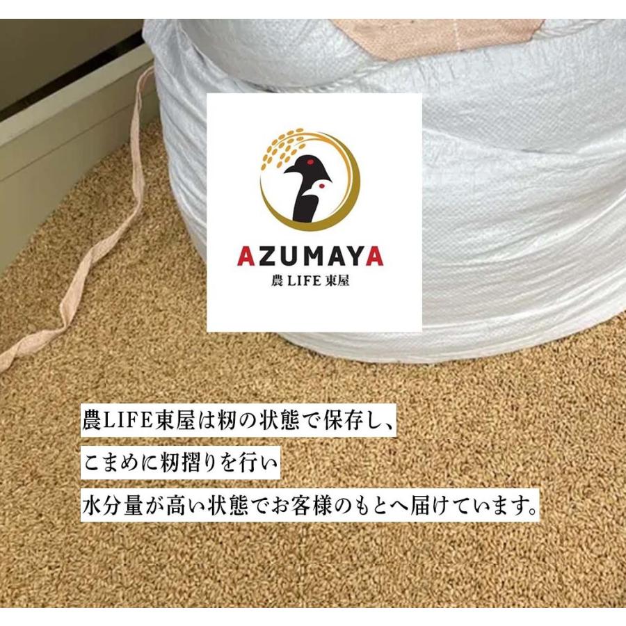 令和5年度産　20ｋg　玄米　コシヒカリ　立科町　たてしな　お米　おこめ　長野県　信州産　美味しい