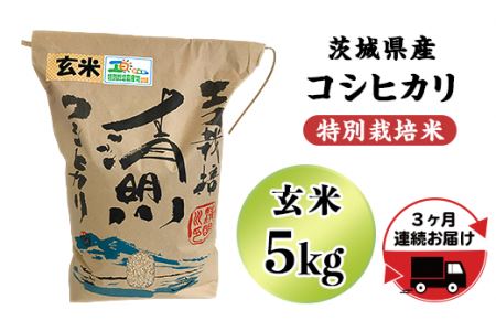 20-22茨城県産コシヒカリ特別栽培米5kg（玄米）