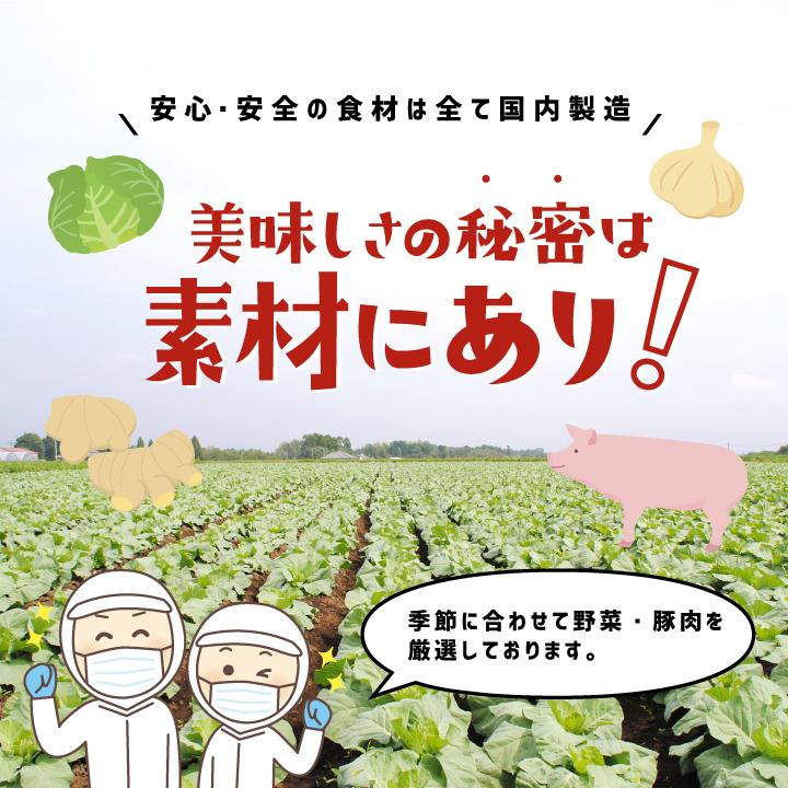 餃子 大阪王将 餃子 取り寄せ 冷凍餃子 お取り寄せグルメ 肉餃子150個セット(50個入×3袋) たれ×18袋付 中華 冷凍食品 王将 点心セット 国産品 (国内製造)