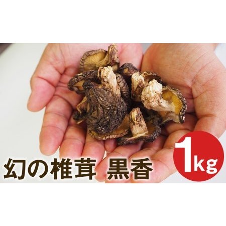 ふるさと納税 幻の椎茸 黒香 1kg 希少品種の乾燥椎茸 しいたけ きのこ 熊本県菊池市