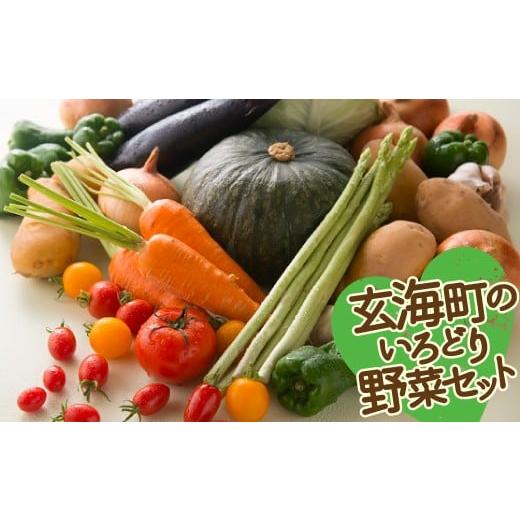 ふるさと納税 佐賀県 玄海町 いろどり野菜セット