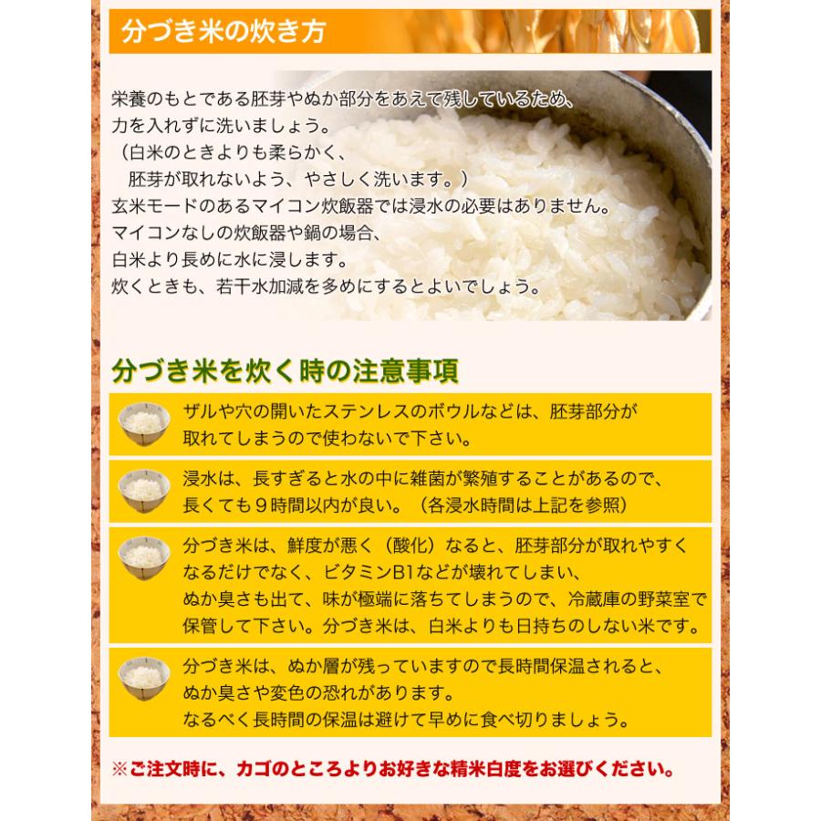 新米 令和5年産 お米 10kg (5kg×2袋)  福井県産 コシヒカリ 玄米 白米 7分づき 5分づき 3分づき 出荷日精米 送料無料