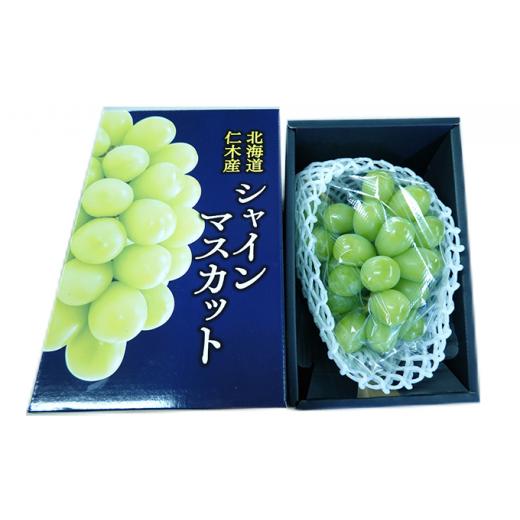 ふるさと納税 北海道 仁木町 先行受付 2024年10月から順次出荷 北海道 仁木町産 シャインマスカット厳選品 500g以上 松山商店