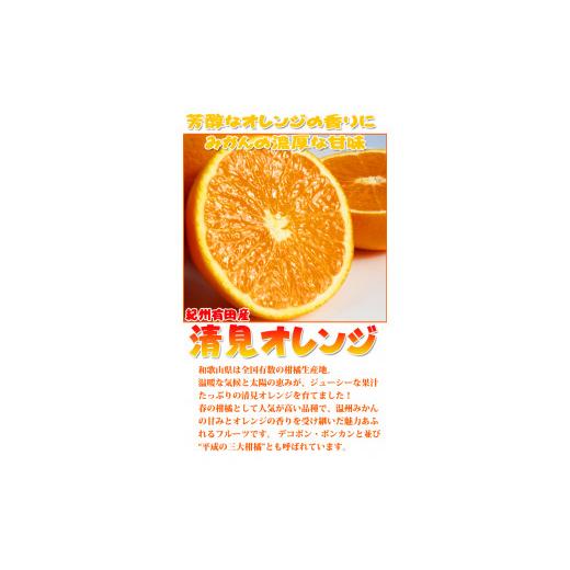 ふるさと納税 和歌山県 由良町 紀州有田産清見オレンジ　7.5kg
