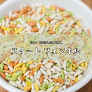 マウスフレッシュ スイート フェンネル sweet fennel    スウィート 口直し スパイス 甘いスパイス AMBIKA(アンビカ) イン