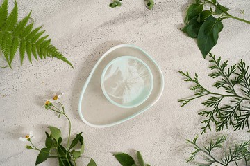 33Creations 鑽瓷樹脂 | 卡樂盤 | Mint